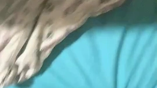 约操熟女阿姨，给阿姨带了肉色丝袜，极限操屄
