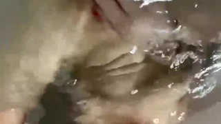 海天盛筵某顶级模特超清视频流出,纯天然美女打炮,绝色美女